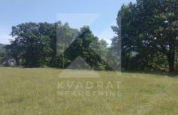 /c_images/thumb_3617272_2_4922_L6yf_Prodaja_Zemljiste_Podgorica.jpg