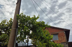 /c_images/thumb_3618838_2_1753701852_rukavac-10.jpg