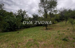 /c_images/thumb_3620953_1_ion-image-site-8-agency-dvazvona-img-6ovq03zhsi-img-5625.jpg