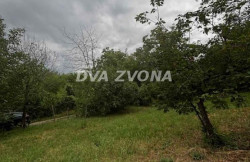 /c_images/thumb_3620953_2_ion-image-site-8-agency-dvazvona-img-dvf5vuf48t-img-5621.jpg