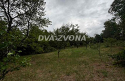 /c_images/thumb_3620953_4_ion-image-site-8-agency-dvazvona-img-rq8krgr82f-img-5623.jpg