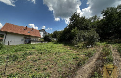 /c_images/thumb_3621758_2_on-image-site-8-agency-velesnek-img-w6nqcwqbvm-img-7055.jpeg