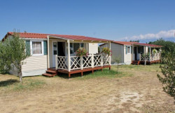 /c_images/thumb_3621893_3_Mobile_homes_d744c98b5ba0.jpg