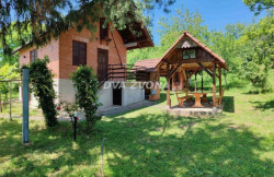 /c_images/thumb_3622907_1_tion-image-site-8-agency-dvazvona-img-fqmcx32c54-image4.jpeg