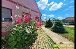 /c_images/thumb_3627043_2_action-image-site-8-agency-imovinaplus-img-s4naaurwun-1a.jpg