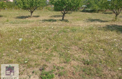 /c_images/thumb_3627128_1_vadratobrenovac-img-wr6i486y6o-photo-2025-08-11-12-49-35.jpg