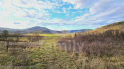 /c_images/thumb_3629240_2_1221abec68c9f3f8cbe8ab16fdc3fba17dfa21ca.jpg