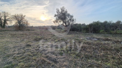 /c_images/thumb_3629260_4_adfdab3d3a5f1ad8739e95e43e4687b1a6ee1733.jpg