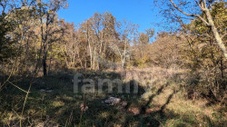 /c_images/thumb_3629267_3_67aa9689a3d8786aba43ab51062f1e3754343164.jpg
