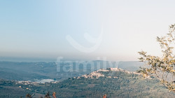 /c_images/thumb_3629268_3_12d9bd0d1d7bf9f4f02db4573e276032c41909e3.jpg