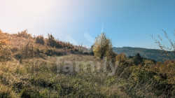 /c_images/thumb_3629268_4_b6f499d28ded947fda89692fbe991d0db3b57073.jpg