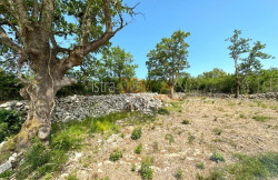 /c_images/thumb_3630112_1__gradevinsko-zemljiste-viskovici-3697-m2-slika-219997471.jpg