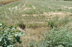 /c_images/thumb_3630829_1_ite-8-agency-dvazvona-img-qj6u7czzat-img-20250814-114649.jpg