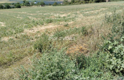 /c_images/thumb_3630829_2_ite-8-agency-dvazvona-img-eruxxvgpda-img-20250814-114653.jpg