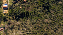 /c_images/thumb_3630968_4_ized-land-with-panoramic-sea-view-for-villa-construction.jpg