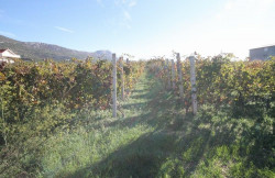 /c_images/thumb_3633104_2_property_image_1esrcepocn_20230729051107.jpg