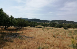 /c_images/thumb_3633123_1_property_image_1typvhzcyi_20230729030105.jpg