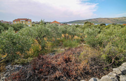 /c_images/thumb_3633226_4_property_image_11brtinttq_20230728111229.jpg