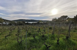 /c_images/thumb_3633317_3_property_image_1c3iptz7he_20230728092531.jpg