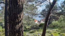 /c_images/thumb_3633399_2_property_image_1xa526ndu0_20240317071631.jpg