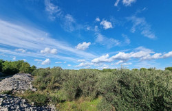 /c_images/thumb_3633489_2_property_image_1grgrwgcsr_20240318124617.jpg
