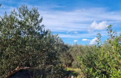 /c_images/thumb_3633489_4_property_image_1wmei7ca57_20240318125719.jpg