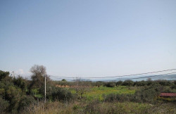 /c_images/thumb_3633535_1_property_image_10x4qmkpja_20240318041249.jpg