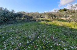 /c_images/thumb_3633546_2_property_image_1vscidurgt_20240318053047.jpg