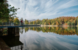 /c_images/thumb_3633792_4_property_image_1x9yhdd5qu_20250201074643.jpg