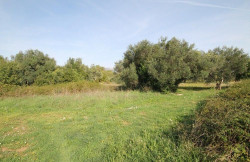 /c_images/thumb_3633841_1_property_image_159gzd2ei3_20250306075201.jpg