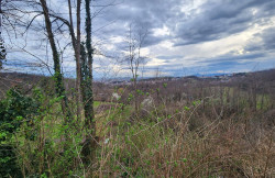 /c_images/thumb_3633855_2_property_image_1em4i2lrq0_20250314060857.jpg
