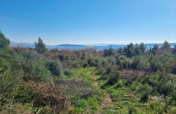 /c_images/thumb_3634200_1_property_image_1nexmbfmai_20250409060516.jpg