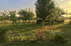 /c_images/thumb_3634359_3_property_image_1karkb3rwv_20250718060046.jpg