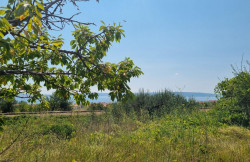 /c_images/thumb_3634390_1_property_image_1tnbkxvcqh_20250804033014.jpg