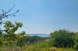 /c_images/thumb_3634390_2_property_image_16owylqbgs_20250804033020.jpg