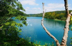 /c_images/thumb_3634553_1_1755683866_jezero-kozjak.jpg