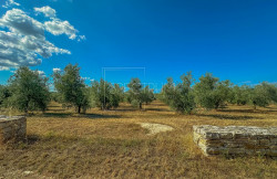 /c_images/thumb_3635667_3_1755863045_zona-di-umago-ampio-terreno-per-investimento.jpg