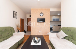 /c_images/thumb_3635703_3_partment-for-rent-big-fashion-city-kvart-central-point-3.jpg