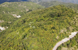 /c_images/thumb_3636015_2_1755859431_dji_0819.jpg