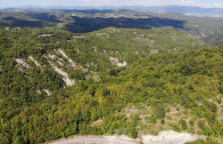 /c_images/thumb_3636015_4_1755859450_dji_0821.jpg