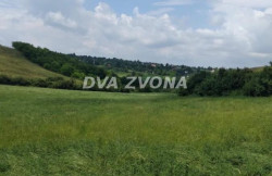 /c_images/thumb_3636346_1_ion-image-site-8-agency-dvazvona-img-4sn5qnu2v5-img-6143.jpg