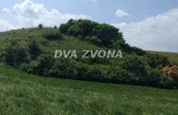 /c_images/thumb_3636346_4_ion-image-site-8-agency-dvazvona-img-b8sy7zu2by-img-6142.jpg