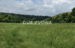 /c_images/thumb_3636347_1_ion-image-site-8-agency-dvazvona-img-2bp2qx7rf6-img-6140.jpg