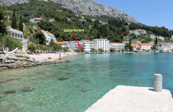 /c_images/thumb_3636416_2_Feral_10953along_the_beach2_velika.jpg