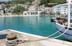 /c_images/thumb_3636416_3_Feral_10953along_the_beach1_velika.jpg