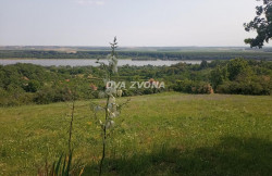 /c_images/thumb_3638674_1_dvazvona-img-26d4z6udxi-17564634562616104680293999030812.jpg