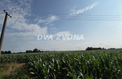 /c_images/thumb_3639471_1_ion-image-site-8-agency-dvazvona-img-reus6byk8i-img-4983.jpg