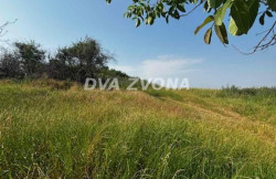 /c_images/thumb_3639471_3_ion-image-site-8-agency-dvazvona-img-mk7t6uve5x-img-4972.jpg