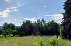 /c_images/thumb_3642800_3_1756751853_istra-gradevinsko-zemljiste-prodaja-27.jpg