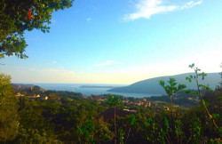 /c_images/thumb_3644078_1_-image-site-8-agency-bokarealty-img-68nbjvviw4-crnica-12.jpg